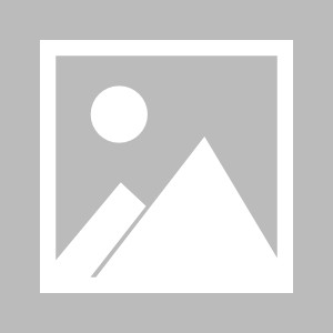 九州娱乐登录入口-法兰克福决胜底线对手，为胜利奋勇拼搏的简单介绍