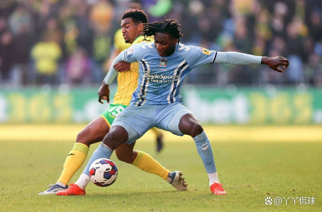 诺维奇反击成功！客场带回宝贵三分的简单介绍