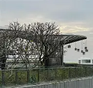 洛杉磯銳航客場取勝，提振球隊信心(洛杉矶航空)